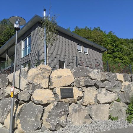 Ferienhaus Schieferterrasse - Waldsee Rieden - Exterior photo